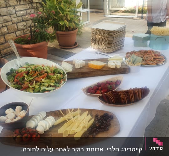 שולחן קייטרינג עם סלט, גבינות ופירות